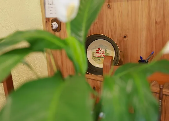 El Arroyo Del Valle * Navaconcejo