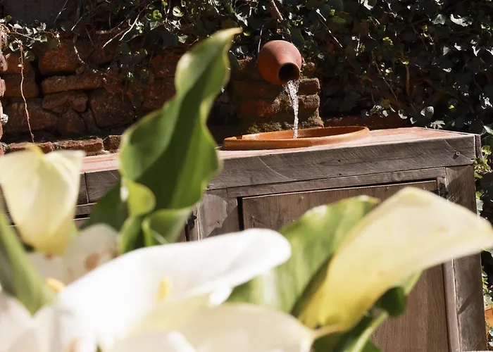 El Arroyo Del Valle * Navaconcejo